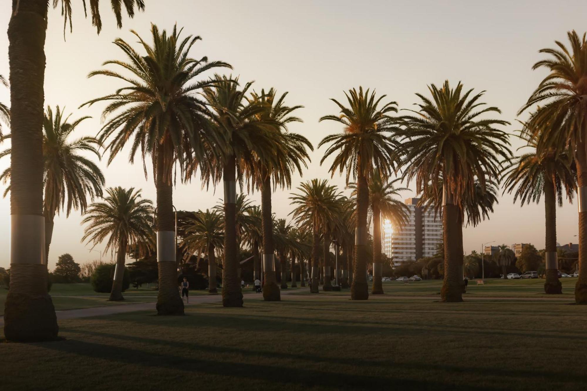 Mac St Kilda Blessington St By Melbourne Apartment Collection ภายนอก รูปภาพ